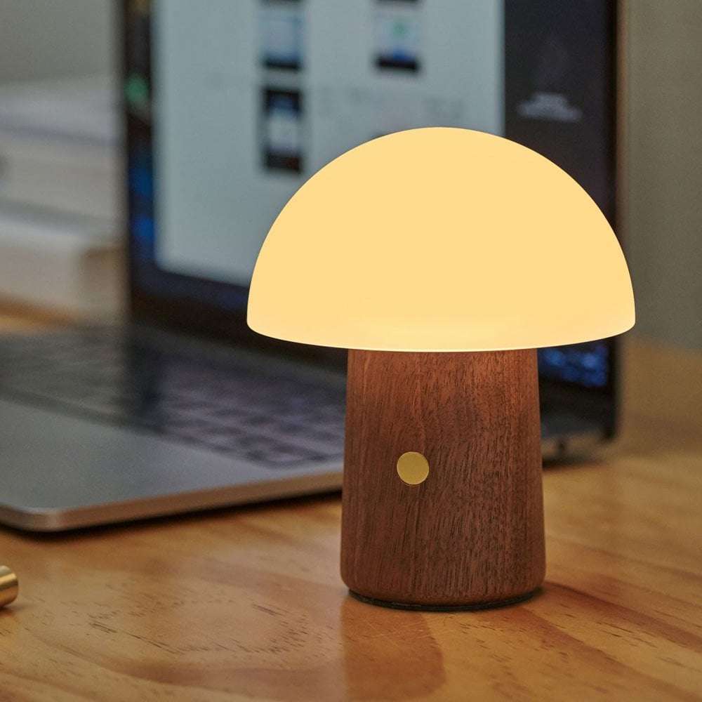 Mushroom lamp reference photograph